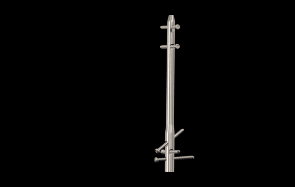 Ankle Arthrodesis Nail, 